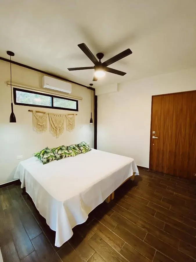 Halaken Condo Rooftop Pool La Veleta Tulum 0*,  Meksyk