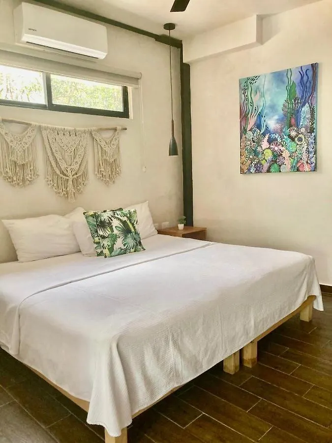 Halaken Condo Rooftop Pool La Veleta Tulum Apartment