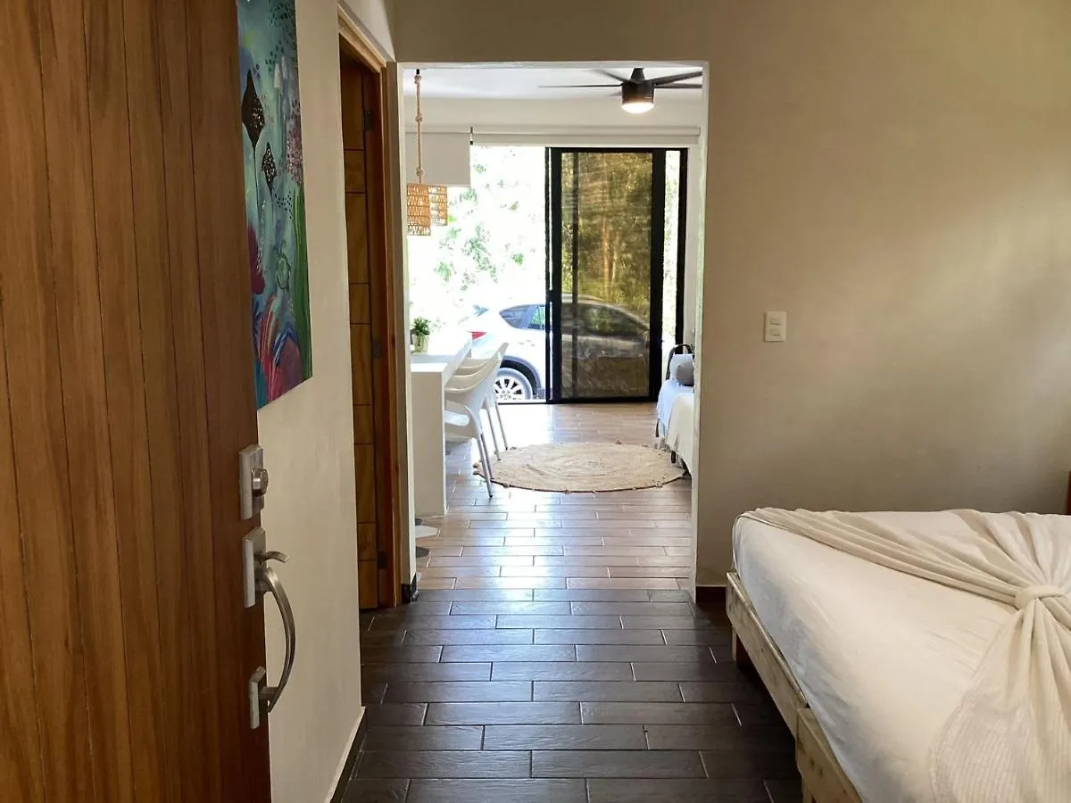Halaken Condo Rooftop Pool La Veleta Tulum Apartment